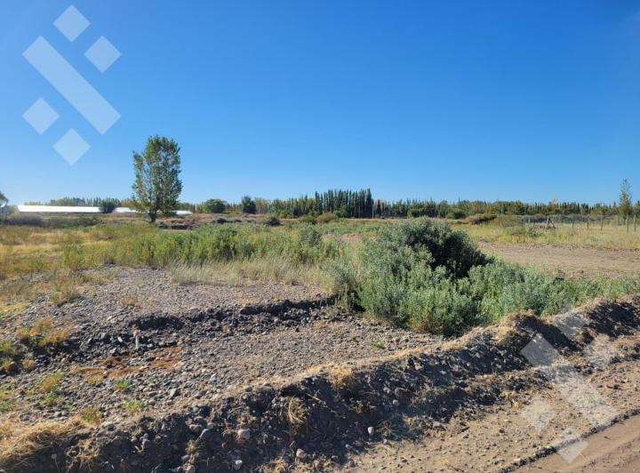 Terreno · 250m²