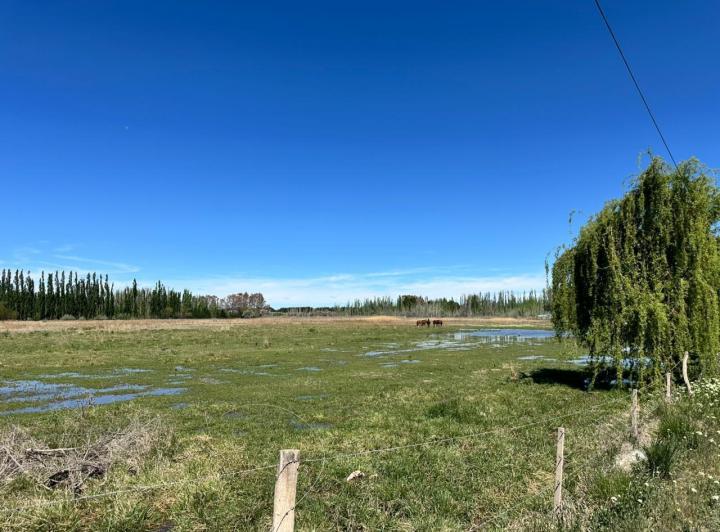Campo · 60000m²