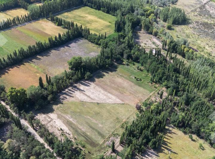 Campo · 78500m² · 1 Ambiente