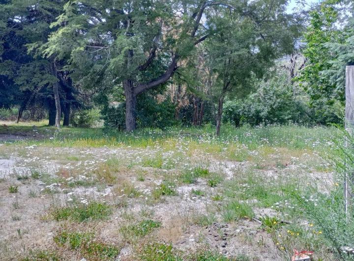 Terreno · 1830m²
