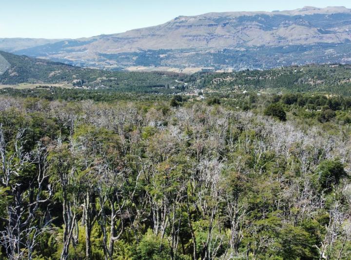 Terreno · 600m²