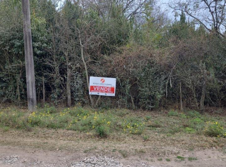 Terreno