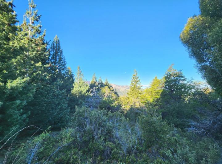 Terreno · 700m²