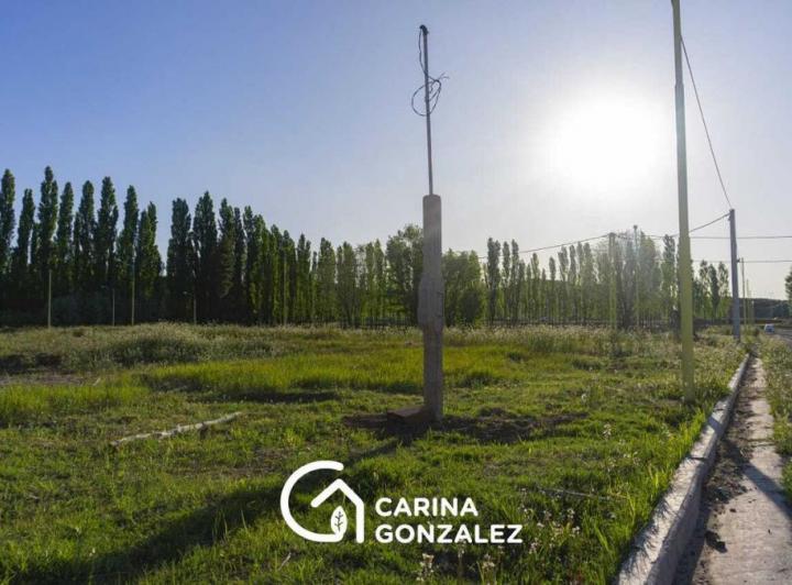 Terreno · 352m²