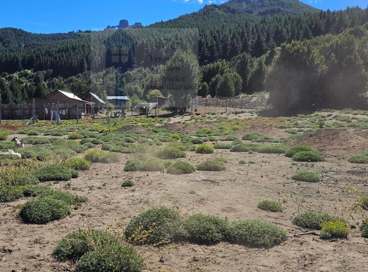 Terreno · 1639m²
