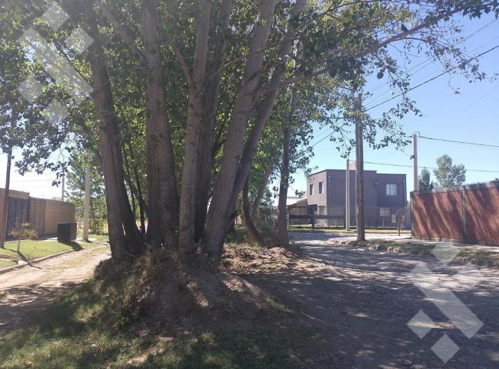 Terreno · 300m²