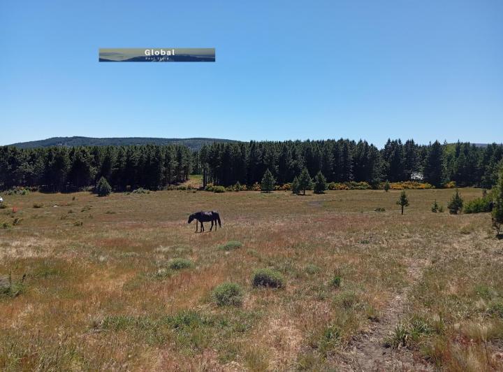 Terreno · 32890m²