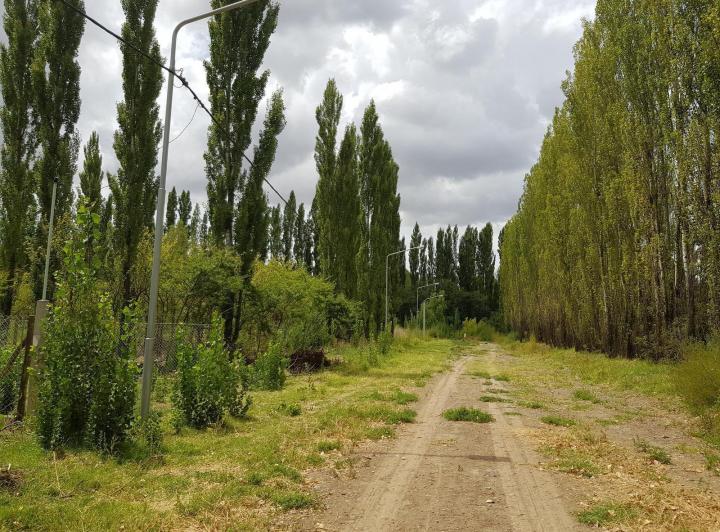 Terreno · 200m²
