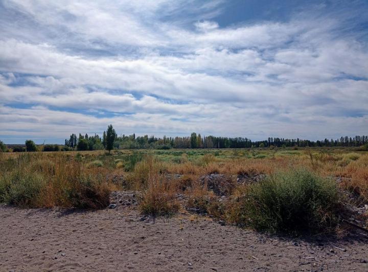 Campo · 10m²