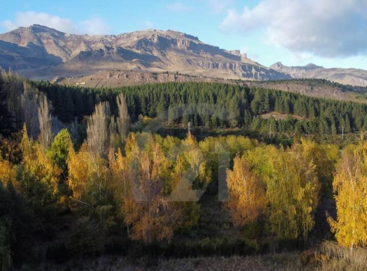 Terreno · 22822m²