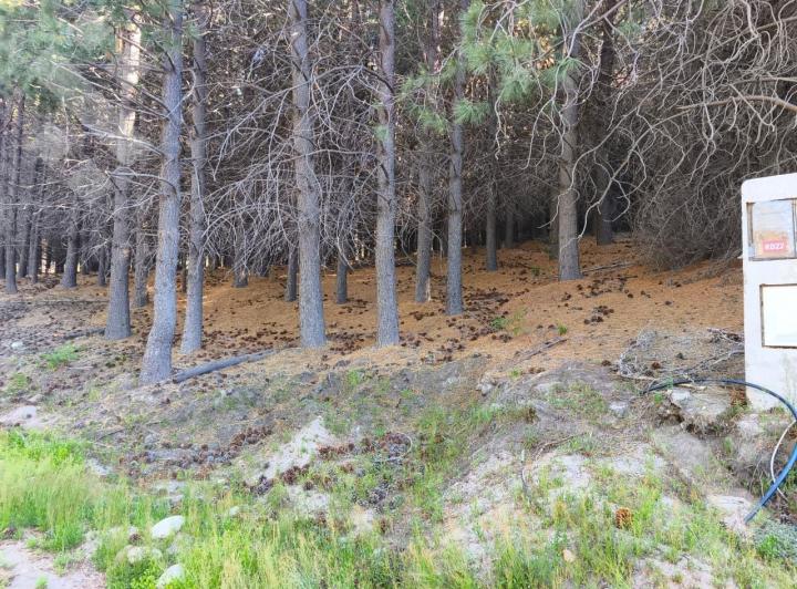 Terreno · 800m²
