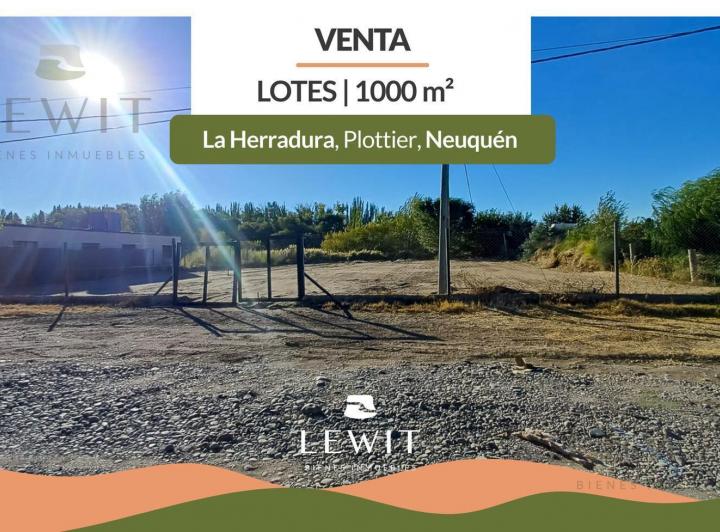 Terreno · 1000m²