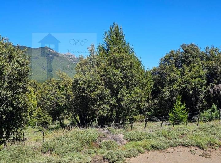 Terreno · 1285m²