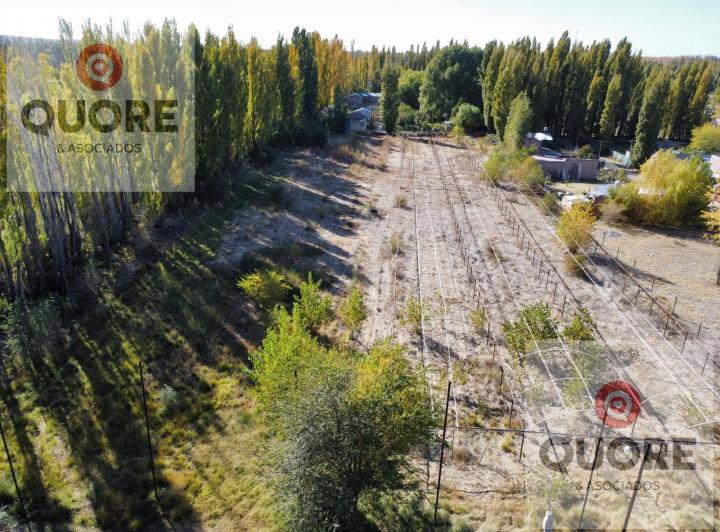 Terreno · 9800m²