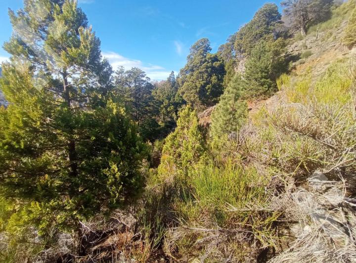 Terreno · 18195m²