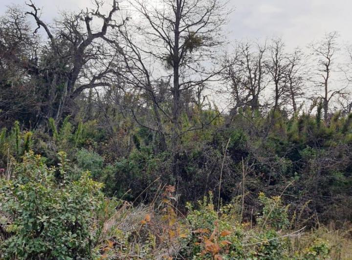 Terreno · 600m²