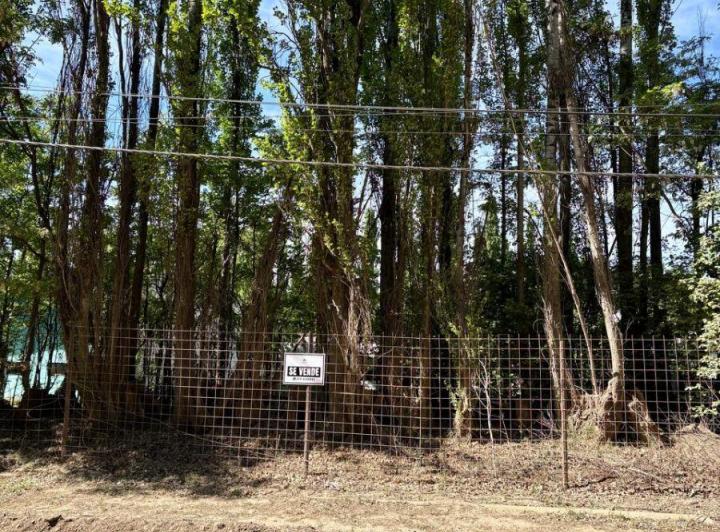 Terreno · 1000m²