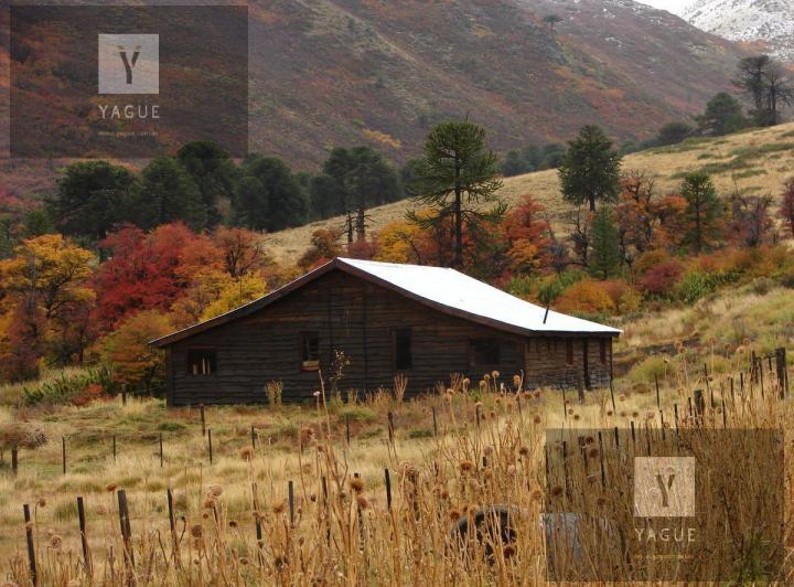 Campo · 600ha · 5 Ambientes