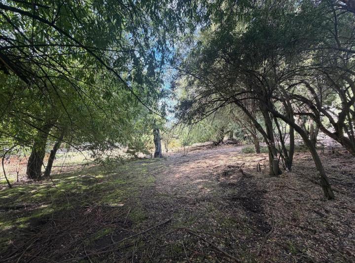 Terreno · 1292m²