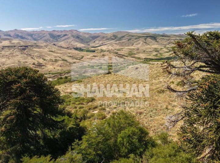 Campo · 22030000ha