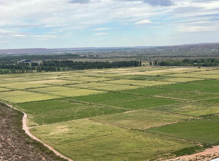 Terreno · 10000m²