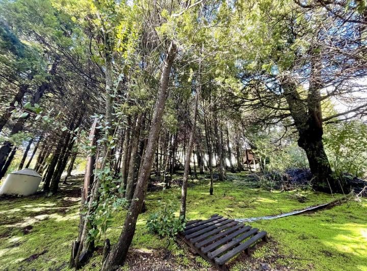 Terreno · 1755m²