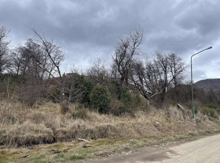 Terreno · 298m²