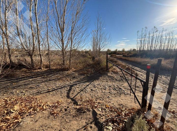 Terreno · 20000m²