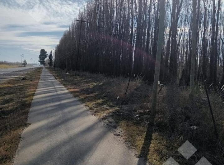 Campo · 210000m²
