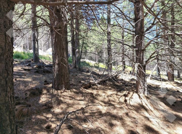Terreno · 790m²