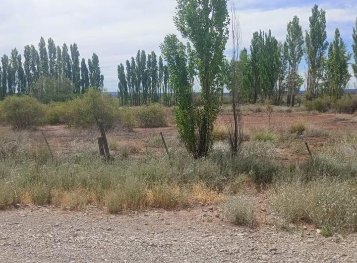 Terreno · 14144m²