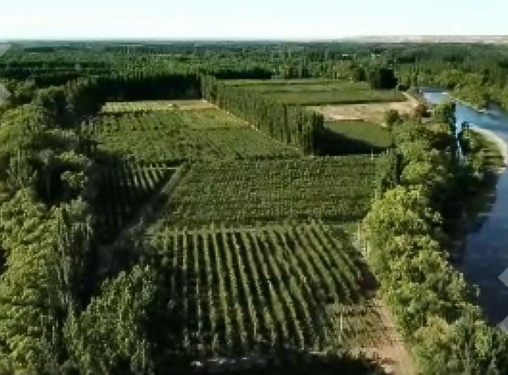 Campo · 2147483647ha