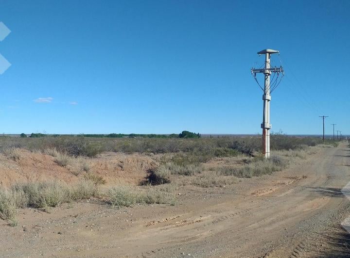Campo · 250000ha