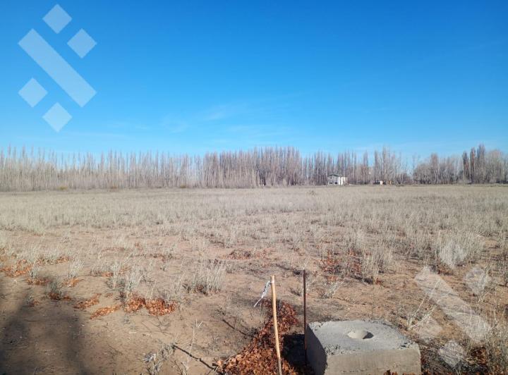 Terreno · 367m²