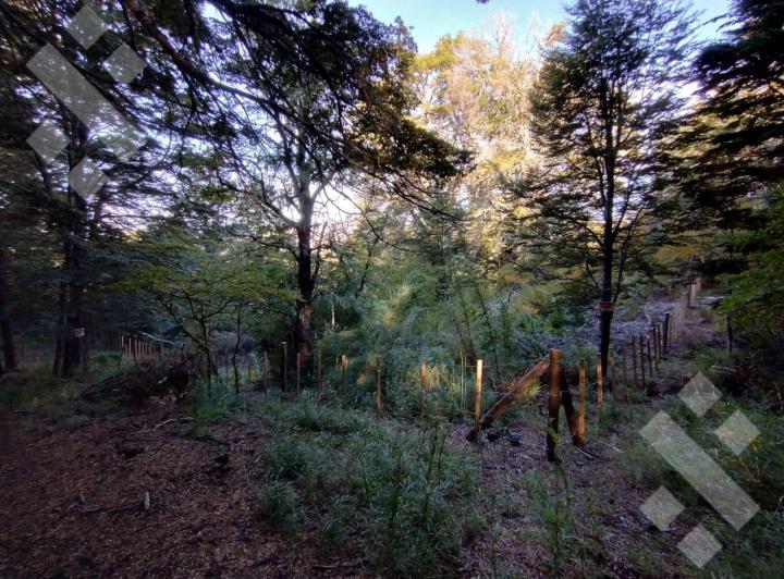 Terreno · 600m²