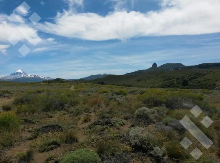 Terreno · 5000m²