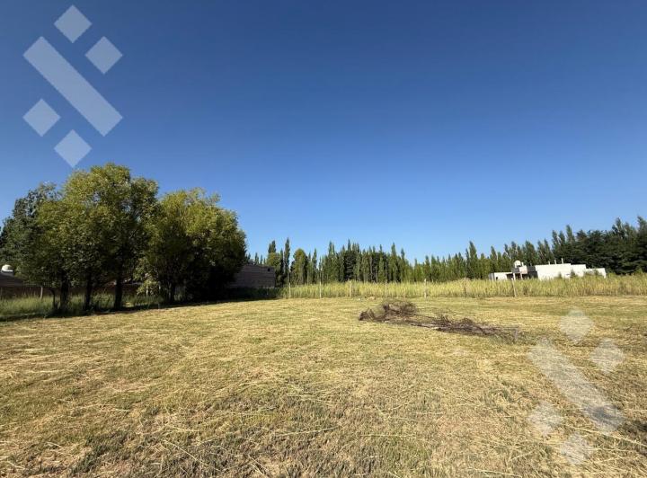 Terreno · 535m²