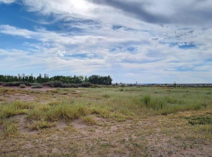 Terreno · 1000m²