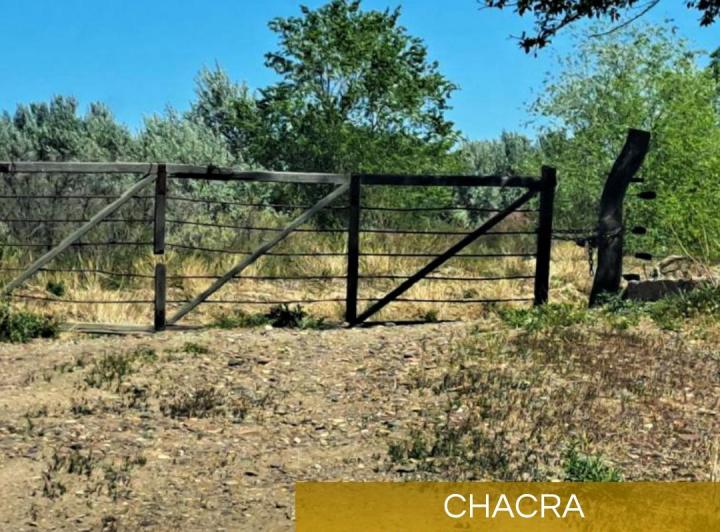 Campo · 15ha