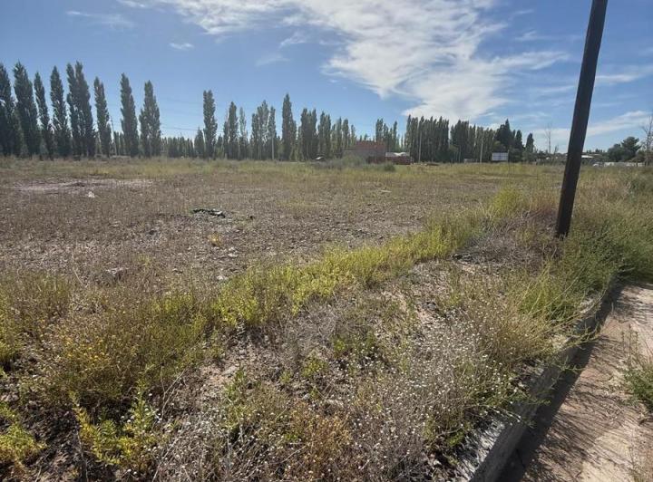 Terreno · 290m²