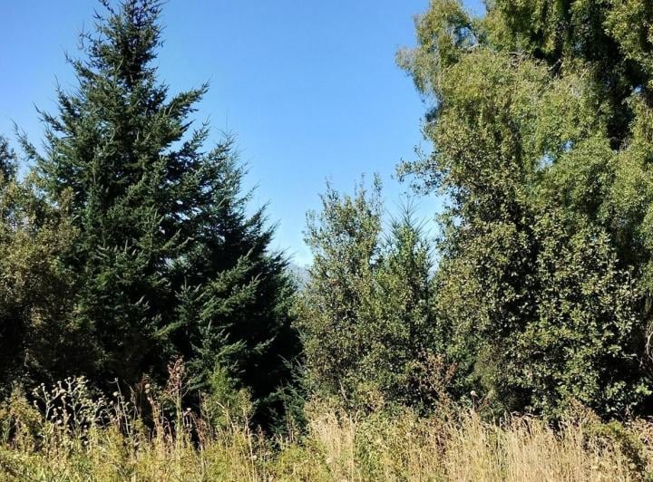Terreno · 232m²