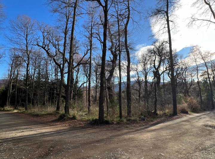 Terreno · 2500m²