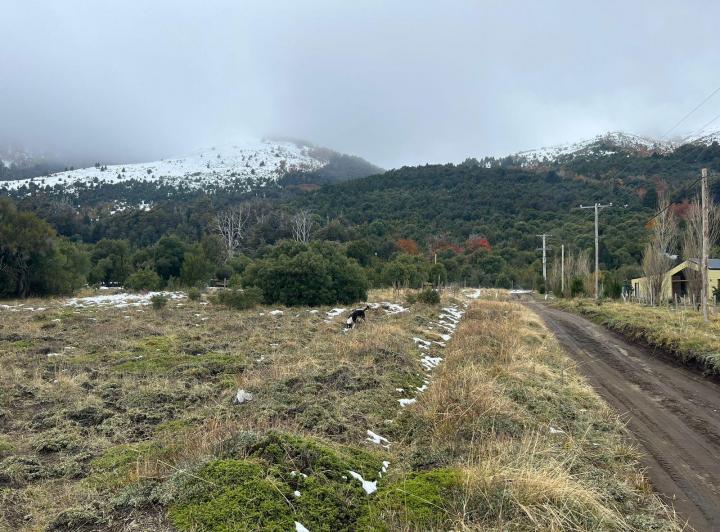 Terreno · 2500m²