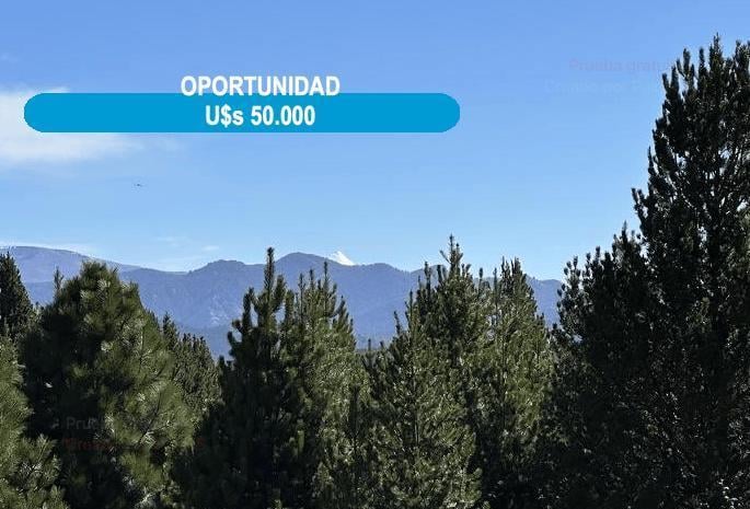 Terreno · 2726m²