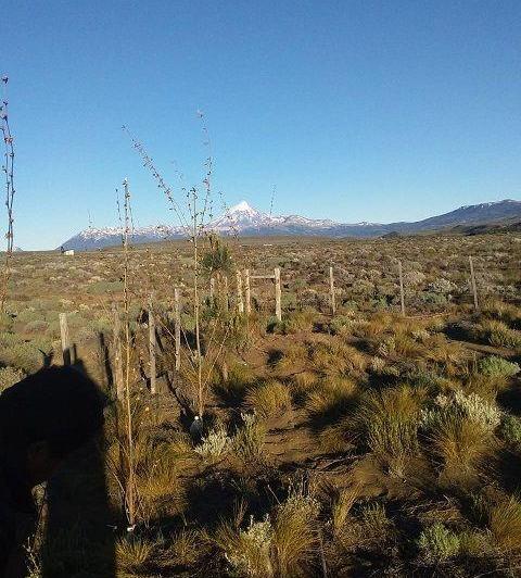 Terreno · 3000m²