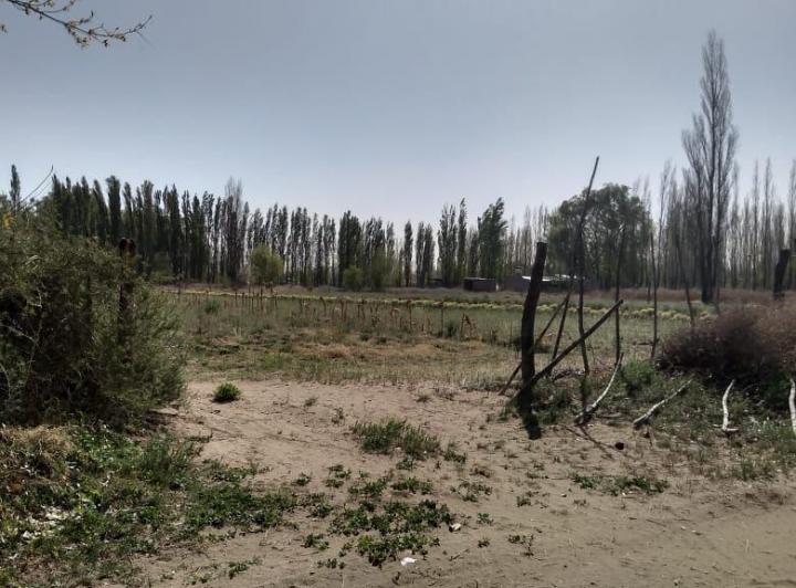 Terreno · 9000m²