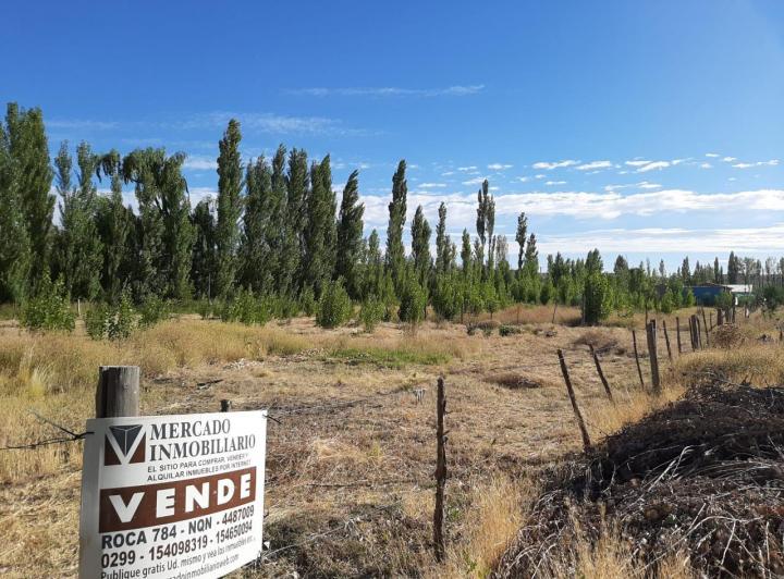 Terreno · 338m²