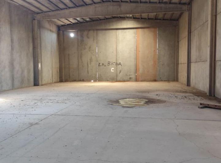 Bodega-Galpón · 450m²
