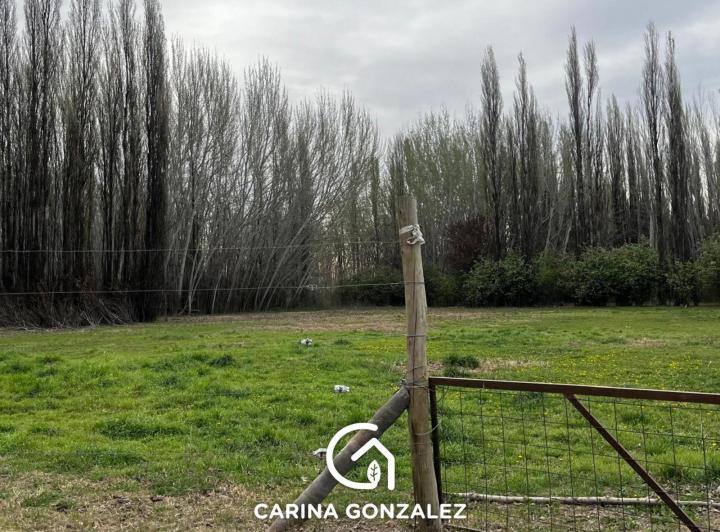 Campo · 7500m²