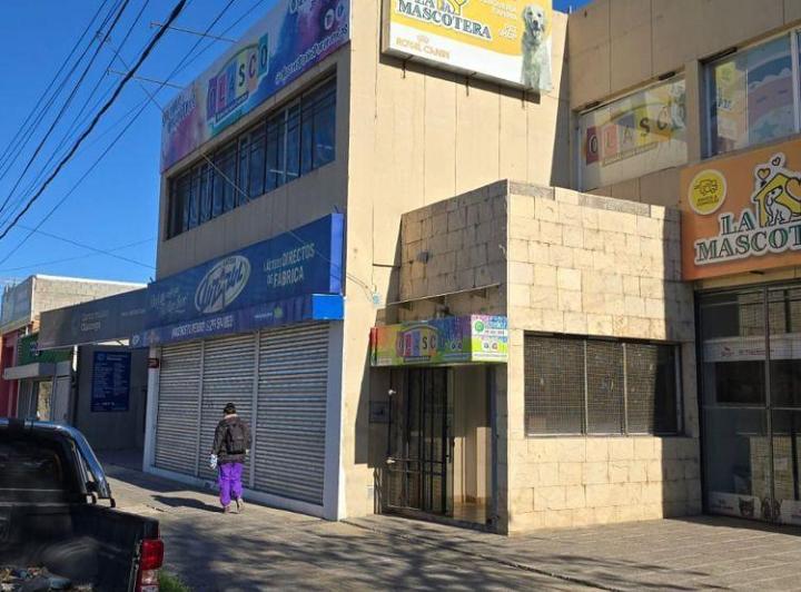 Oficina comercial · 700m² · 6 Ambientes · 5 Cocheras